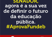 Senado vota novo Fundeb nesta quinta-feira e já prepara regulamentação sem o MEC