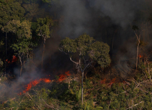 No ano da ‘boiada’, Brasil encerra 2020 com recorde de queimadas em uma década