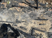Mais de 20 yanomamis da comunidade queimada após estupro estão desaparecidos