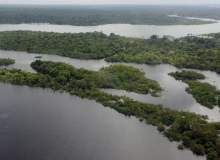 CUT participa de debates sobre a preservação da vida na Cúpula da Amazônia, em Belém