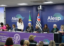 Frente Parlamentar pela Defesa da Vida de Mulheres e Meninas é lançada na Alesp