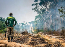 Desmatamento na Amazônia cai pela metade em 2023 e volta a patamares pré-Bolsonaro
